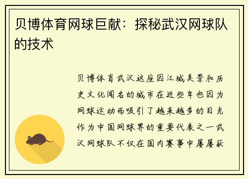 贝博体育网球巨献：探秘武汉网球队的技术